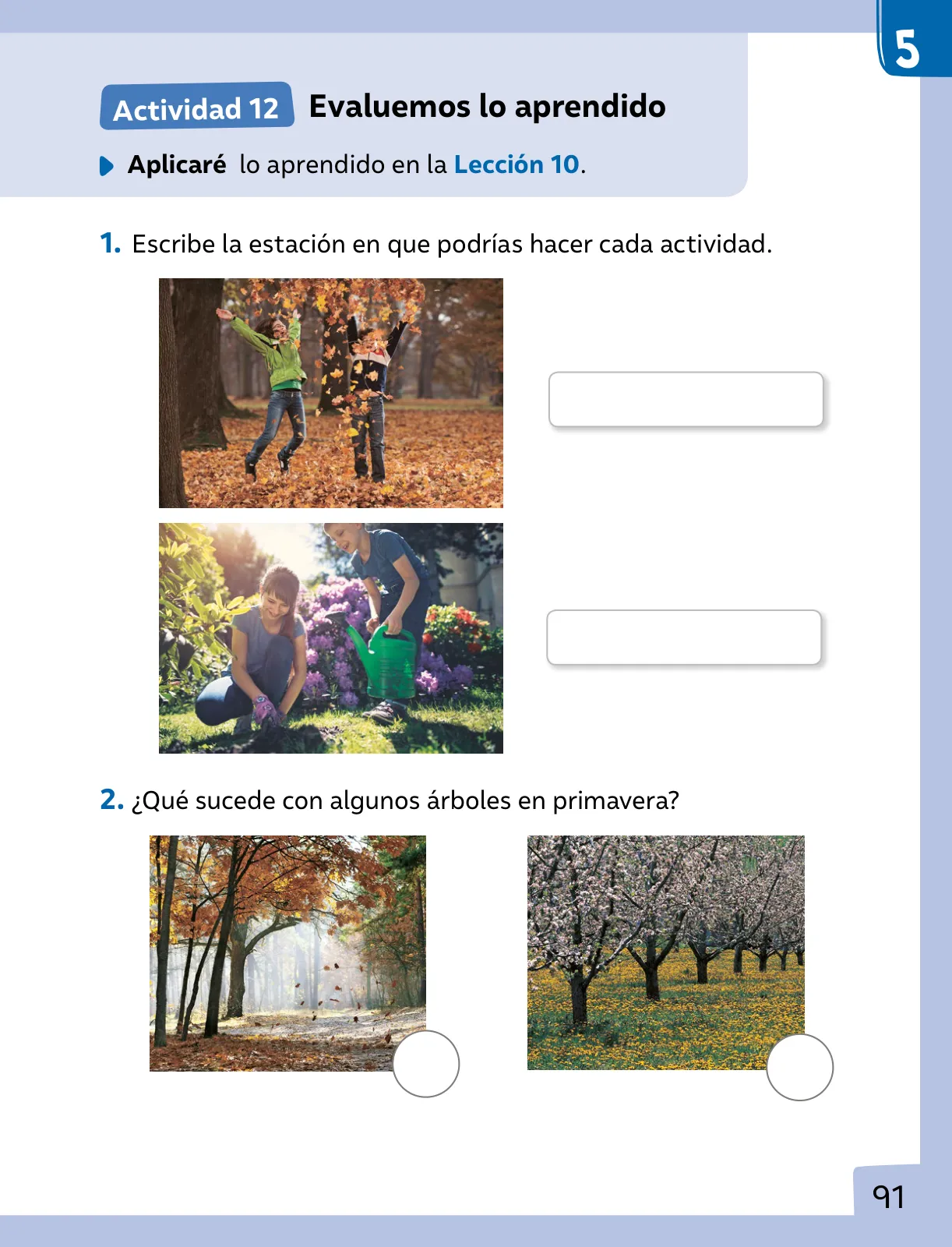 Miniatura página 92 de Ciencias Naturales – Primero Básico | Texto del Estudiante (MINEDUC) – Descargar PDF · 2024