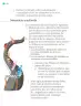 Miniatura página 111 de Proyectos de Aula.   Libro de Educación Primaria Grado 1°  Ciclo Escolar 2025 - 2026