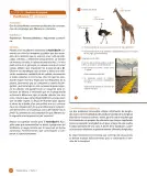 Miniatura página 106 de Sumo Primero – Quinto Básico | Texto del Estudiante MINEDUC – Descargar PDF · 2024