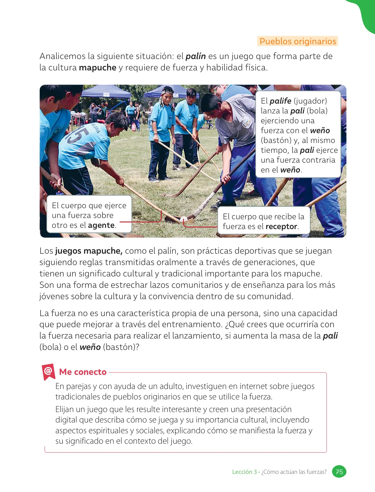 Miniatura página 77 de Ciencias Naturales – Cuarto Básico | Texto del Estudiante MINEDUC – Descargar PDF · 2024