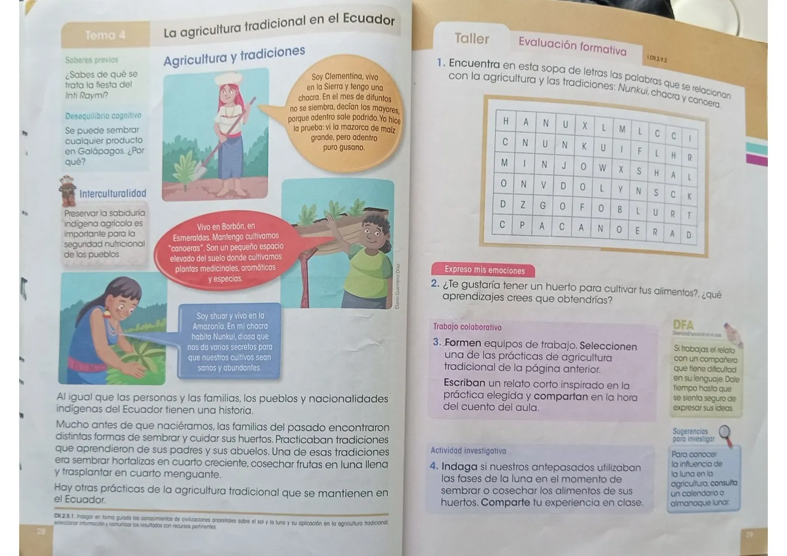 Página 13