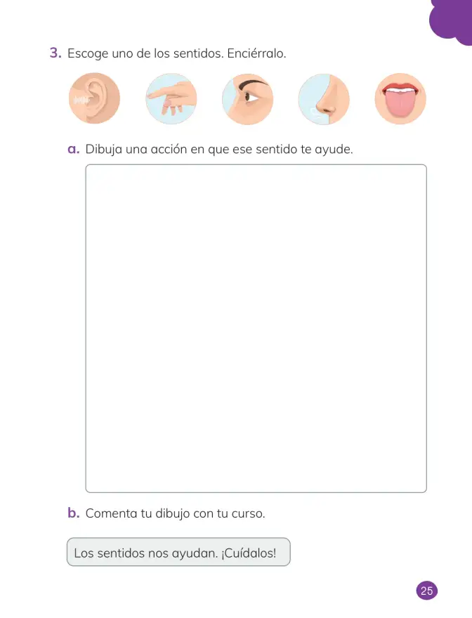 Página 27 de Ciencias Naturales – Primero Básico | Texto del Estudiante (MINEDUC) – Descargar PDF · 2024
