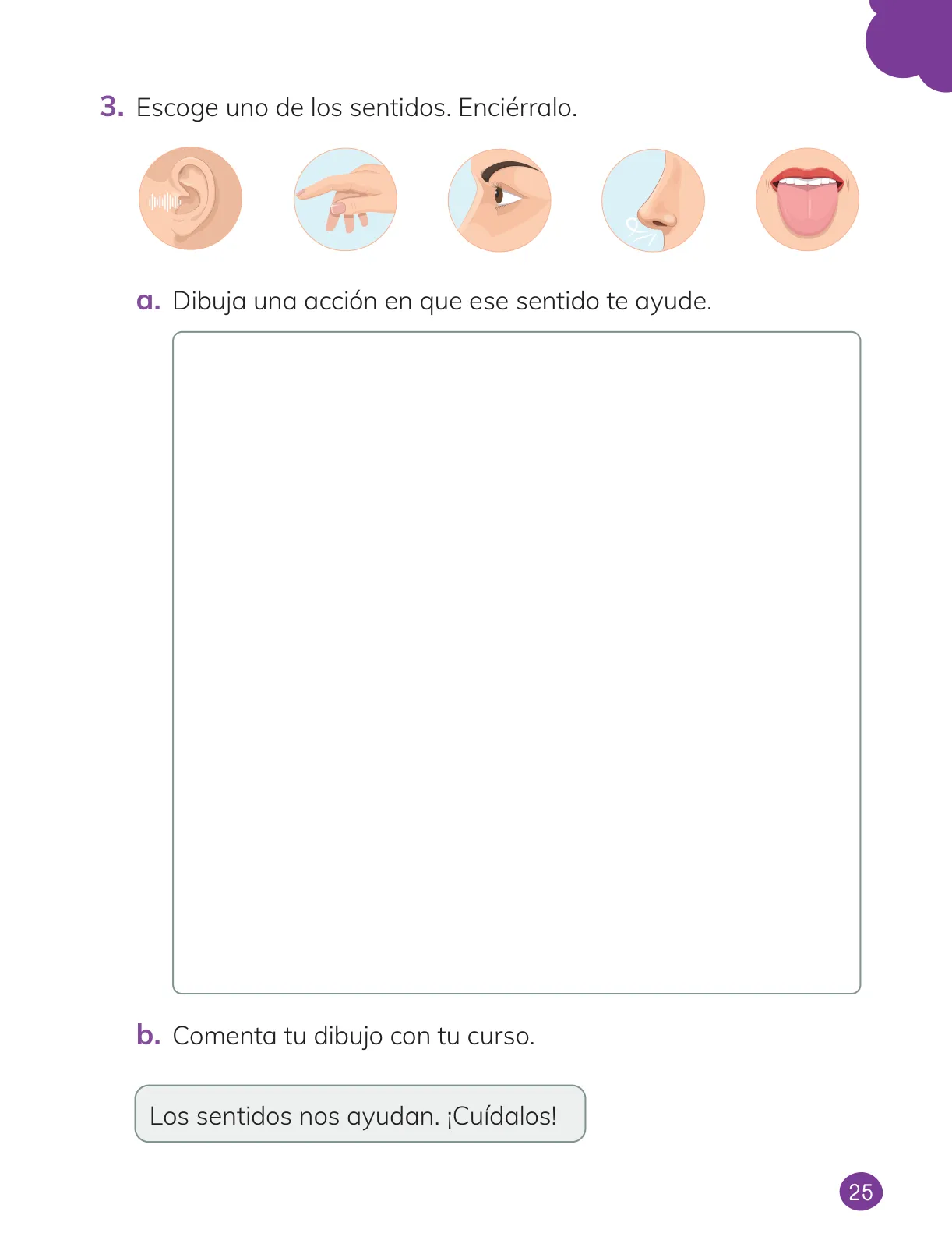 Miniatura página 27 de Ciencias Naturales – Primero Básico | Texto del Estudiante (MINEDUC) – Descargar PDF · 2024