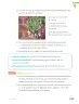 Miniatura página 187 de Lenguaje y Comunicación – Segundo Básico – Texto del Estudiante MINEDUC – Descargar PDF · 2024