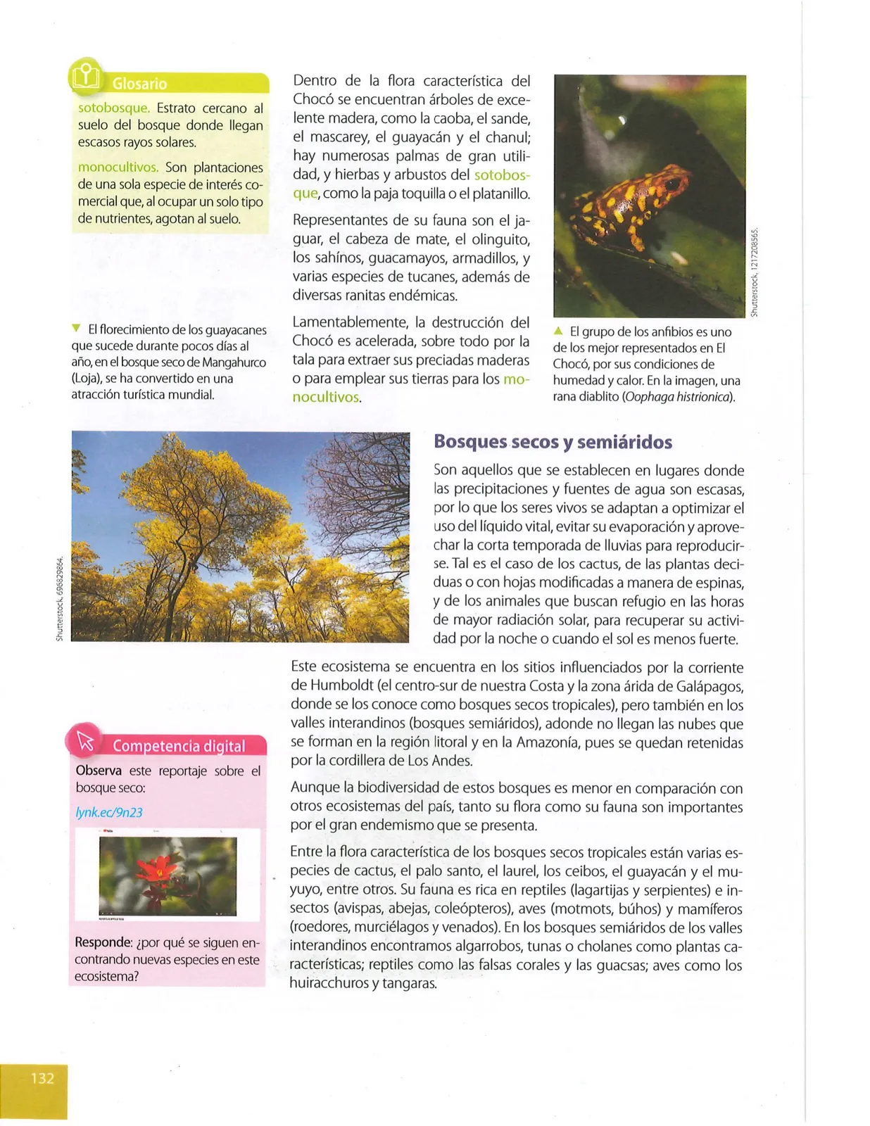 Miniatura página 133 de Ciencias Naturales · 9 EGB · 2024
