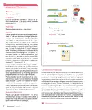 Miniatura página 14 de Sumo Primero – Primero Básico | Texto del Estudiante (MINEDUC) – Descargar PDF · 2024