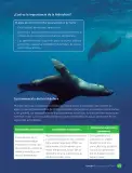 Miniatura página 63 de Libro de Ciencias Naturales – Quinto Básico | Texto del Estudiante MINEDUC – Descargar PDF · 2024