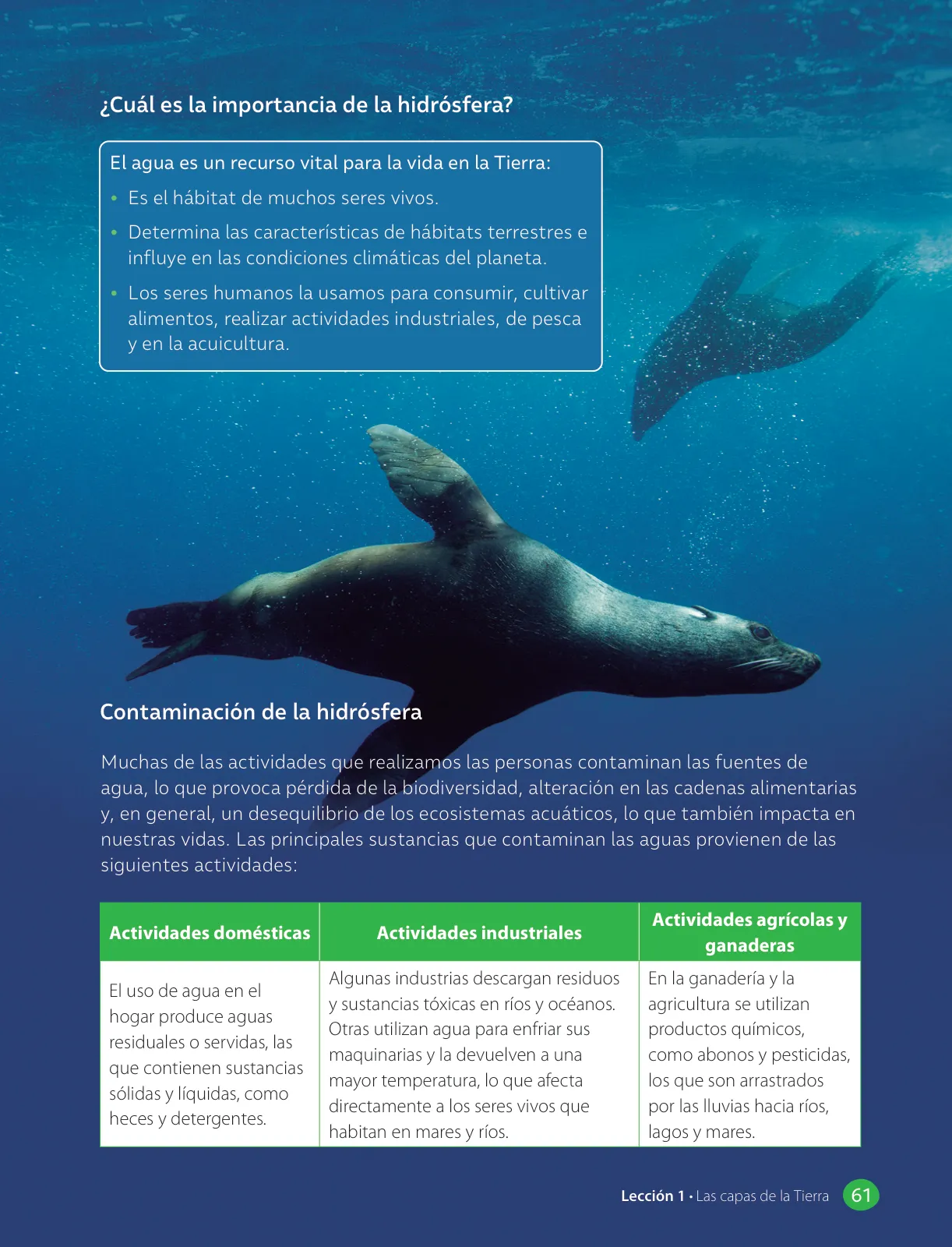 Miniatura página 63 de Libro de Ciencias Naturales – Quinto Básico | Texto del Estudiante MINEDUC – Descargar PDF · 2024