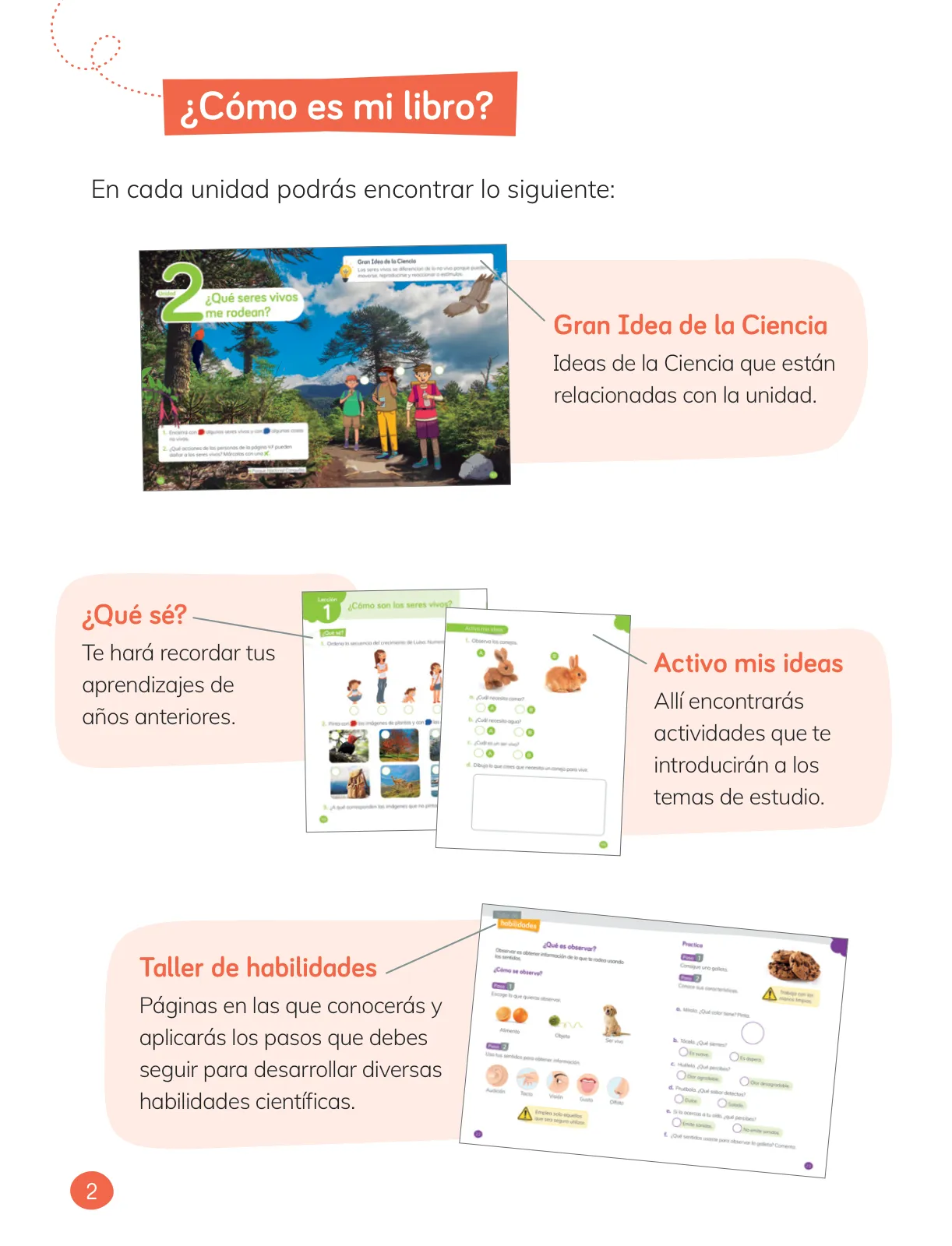 Miniatura página 4 de Ciencias Naturales – Primero Básico | Texto del Estudiante (MINEDUC) – Descargar PDF · 2024
