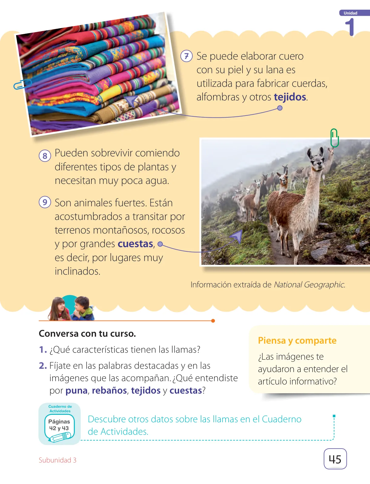 Miniatura página 47 de Lenguaje y Comunicación – Segundo Básico – Texto del Estudiante MINEDUC – Descargar PDF · 2024