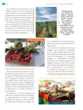 Miniatura página 55 de Nuestros saberes: México, grandeza y diversidad.   Libro de Educación Primaria Grado 4°  Ciclo Escolar 2025 - 2026