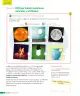 Miniatura página 181 de Ciencias Naturales – Tercero Básico | Texto del Estudiante MINEDUC – Descargar PDF · 2024
