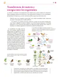 Miniatura página 290 de Colección Ximhai. Saberes y pensamiento científico.   Libro de Educación Secundaria Grado 1°  Ciclo Escolar 2025 - 2026