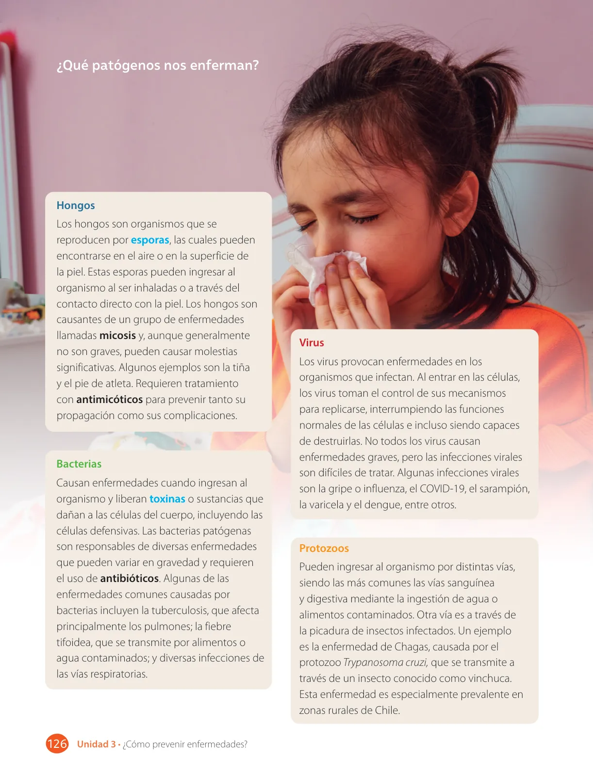 Miniatura página 128 de Libro de Ciencias Naturales – Quinto Básico | Texto del Estudiante MINEDUC – Descargar PDF · 2024