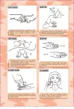 Miniatura página 175 de Lengua de señas peruana : guía para el aprendizaje de la lengua de señas peruana, vocabulario básico · 2015