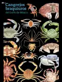 Miniatura página 153 de Colección Ximhai. Múltiples lenguajes.   Libro de Educación Telesecundaria Grado 1°  Ciclo Escolar 2025 - 2026