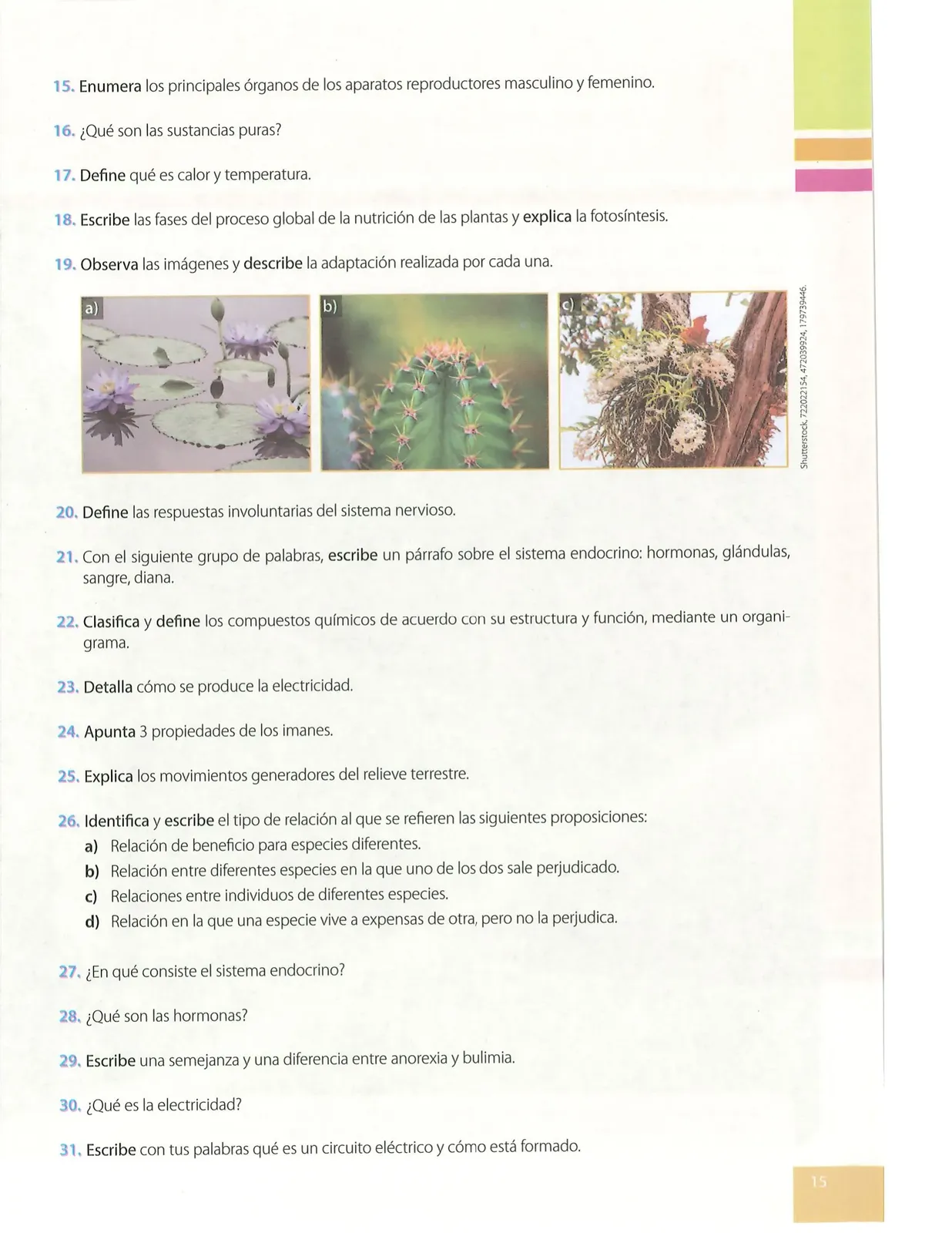 Pág 14