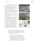 Miniatura página 126 de Proyectos Comunitarios.   Libro de Educación Primaria Grado 4°  Ciclo Escolar 2025 - 2026