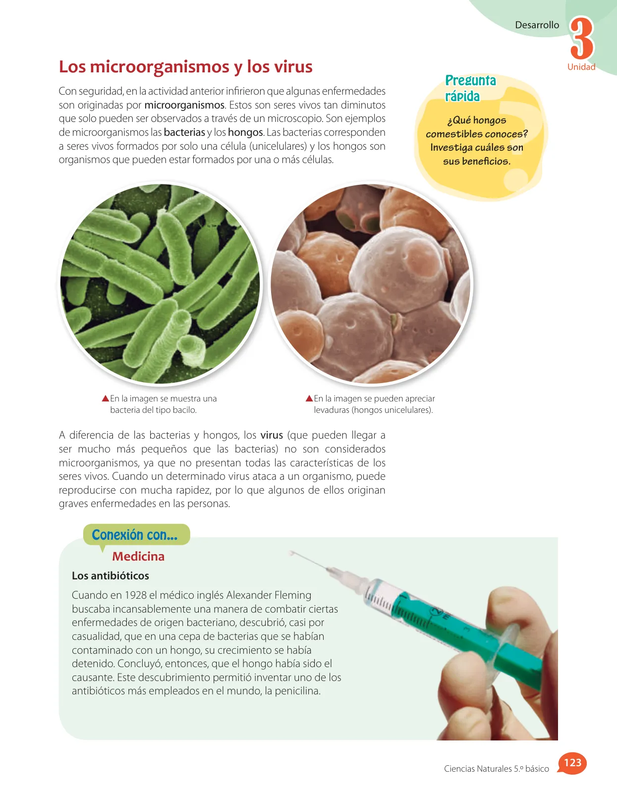 Página 77 de Libro de Ciencias Naturales – Quinto Básico | Texto del Estudiante MINEDUC – Descargar PDF · 2024