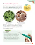 Miniatura página 77 de Libro de Ciencias Naturales – Quinto Básico | Texto del Estudiante MINEDUC – Descargar PDF · 2024