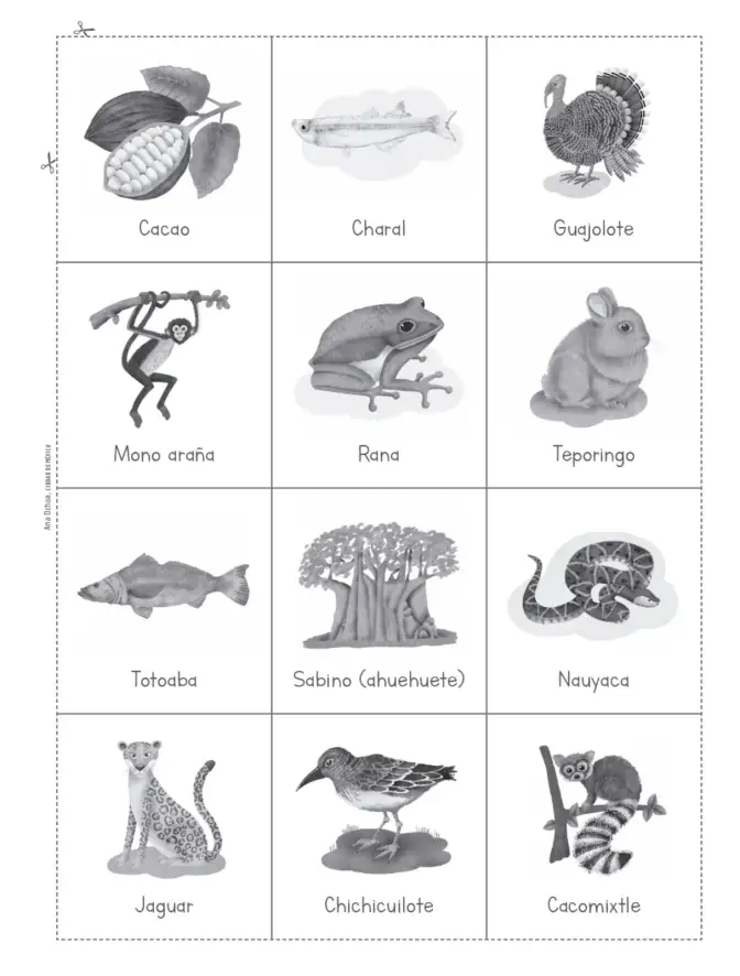 Página 98 de Múltiples lenguajes. Trazos y palabras. Libro de Educación Primaria Grado 2° Ciclo Escolar 2025 - 2026