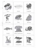 Miniatura página 98 de Múltiples lenguajes. Trazos y palabras.   Libro de Educación Primaria Grado 2°  Ciclo Escolar 2025 - 2026