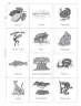 Miniatura página 98 de Múltiples lenguajes. Trazos y palabras.   Libro de Educación Primaria Grado 2°  Ciclo Escolar 2025 - 2026