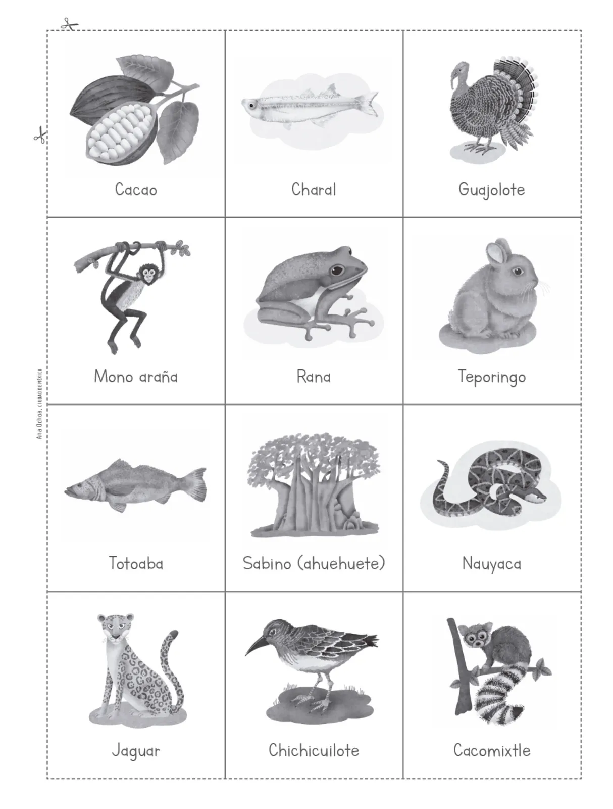 Miniatura página 98 de Múltiples lenguajes. Trazos y palabras.   Libro de Educación Primaria Grado 2°  Ciclo Escolar 2025 - 2026
