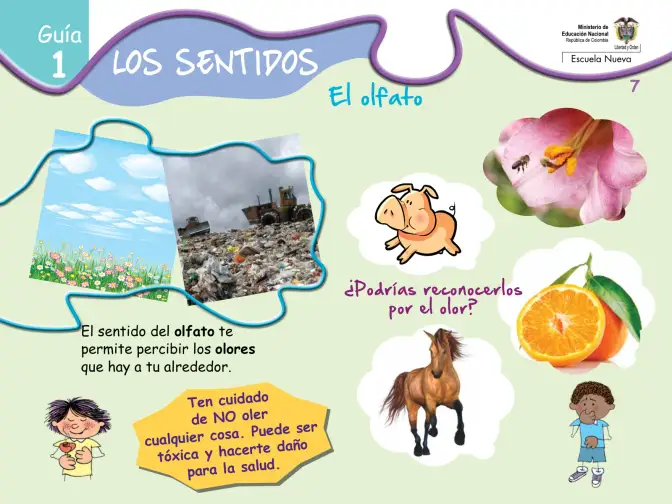 Página 7 de Ciencias Naturales · Fichas