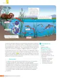 Miniatura página 209 de Libro de Ciencias Naturales – Quinto Básico | Texto del Estudiante MINEDUC – Descargar PDF · 2024