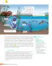 Miniatura página 209 de Libro de Ciencias Naturales – Quinto Básico | Texto del Estudiante MINEDUC – Descargar PDF · 2024