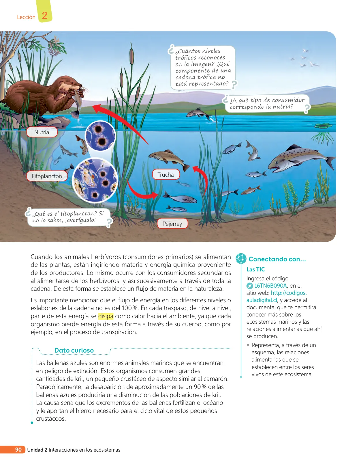 Miniatura página 209 de Libro de Ciencias Naturales – Quinto Básico | Texto del Estudiante MINEDUC – Descargar PDF · 2024