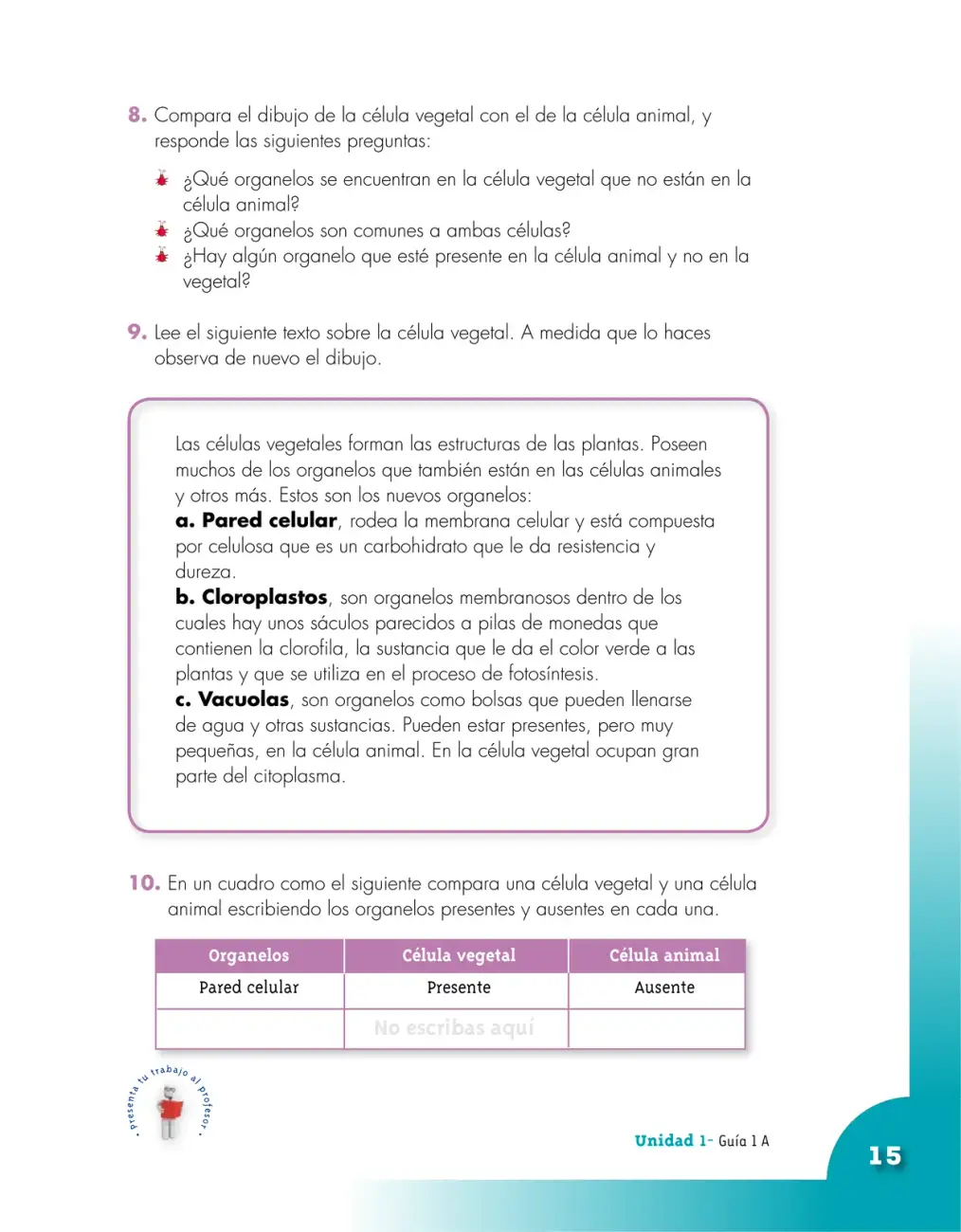 Página 15