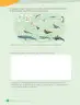 Miniatura página 110 de Libro de Ciencias Naturales – Quinto Básico | Texto del Estudiante MINEDUC – Descargar PDF · 2024