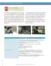 Miniatura página 34 de Lenguaje 7° · Secundaria Activa