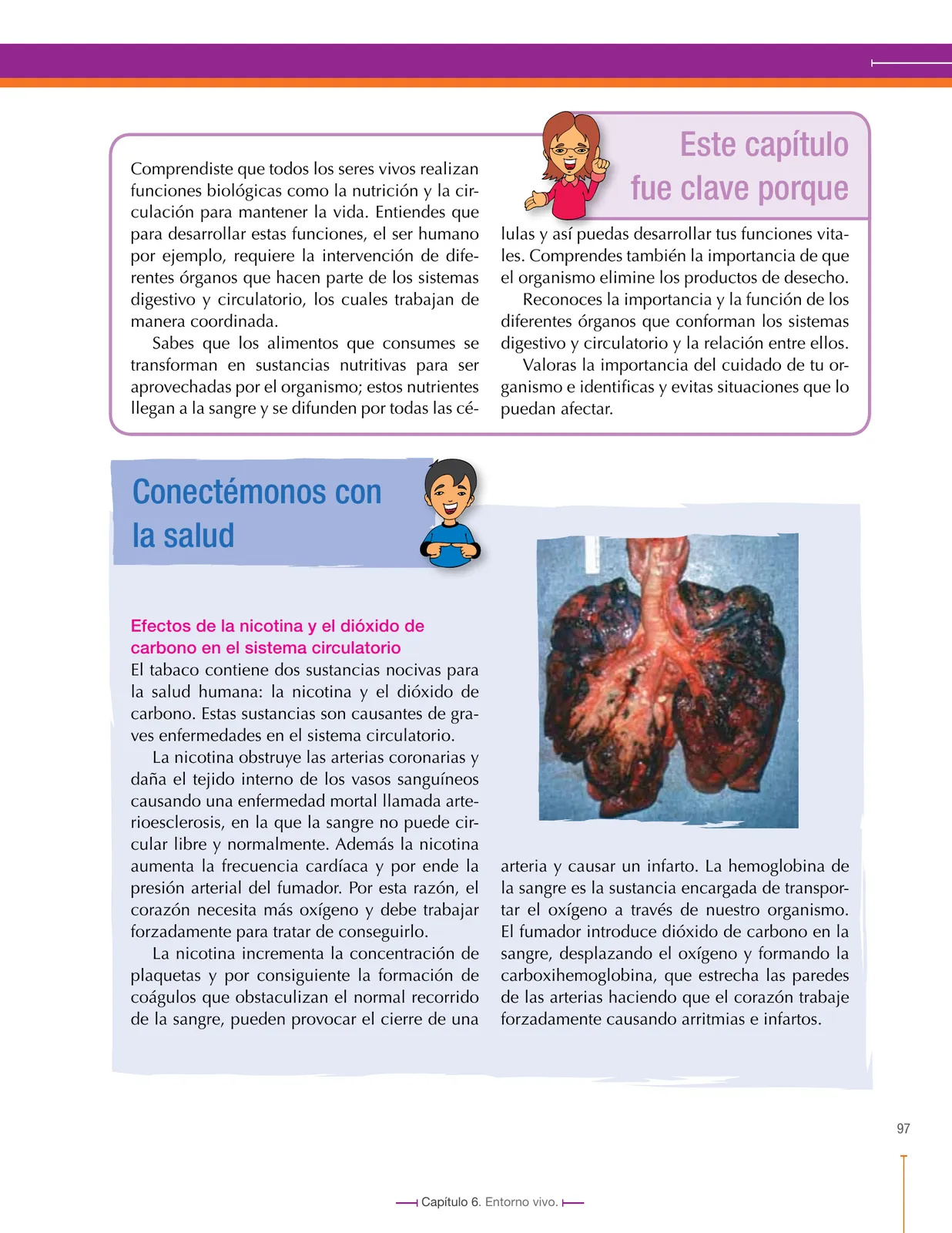 Página 97