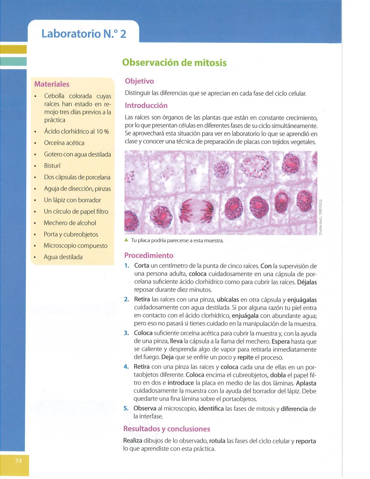 Página 75 de Ciencias Naturales · 9 EGB · 2024