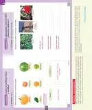 Miniatura página 171 de Ciencias Naturales – Primero Básico | Texto del Estudiante (MINEDUC) – Descargar PDF · 2024
