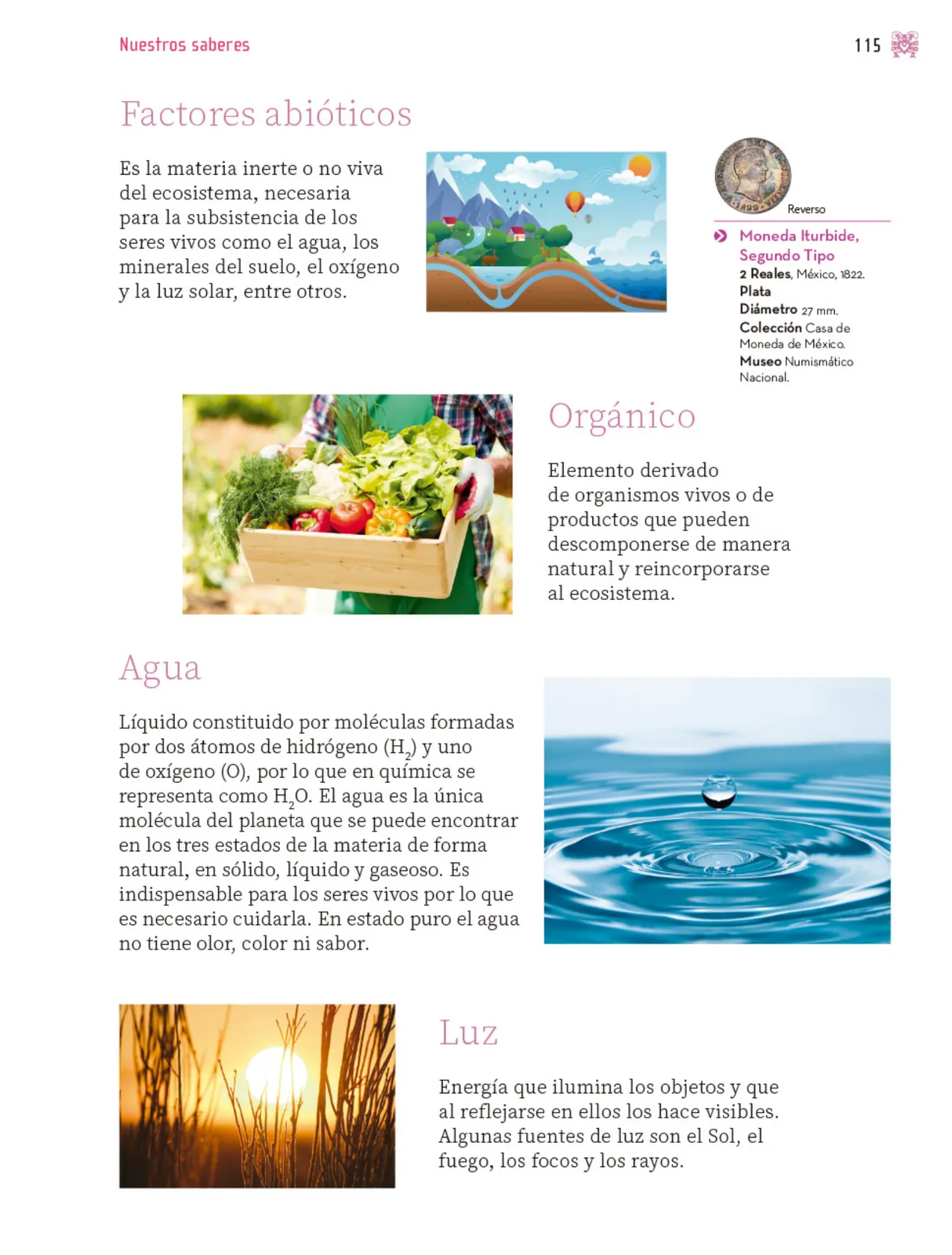 Página 116 de Nuestros saberes: Libro para alumnos, maestros y familia. Libro de Educación Primaria Grado 3° Ciclo Escolar 2025 - 2026