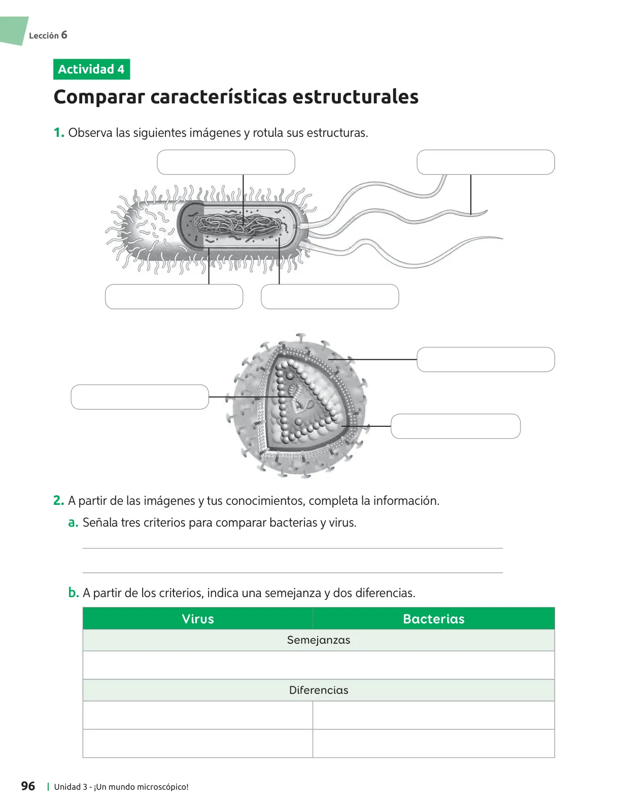 Página 97 de Ciencias Naturales – Séptimo Básico | Texto del Estudiante MINEDUC – Descargar PDF · 2024