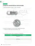Miniatura página 97 de Ciencias Naturales – Séptimo Básico | Texto del Estudiante MINEDUC – Descargar PDF · 2024