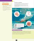 Miniatura página 43 de Ciencias Naturales – Octavo Básico | Texto del Estudiante MINEDUC – Descargar PDF · 2024