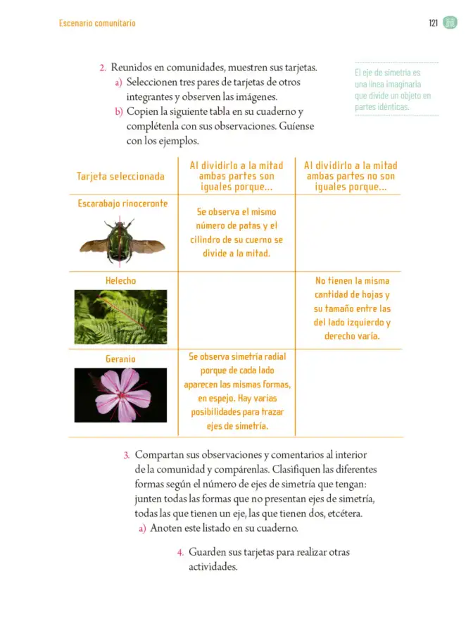 Página 124 de Proyectos Comunitarios. Libro de Educación Primaria Grado 5° Ciclo Escolar 2025 - 2026