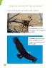 Miniatura página 76 de Ciencias Naturales – Primero Básico | Texto del Estudiante (MINEDUC) – Descargar PDF · 2024