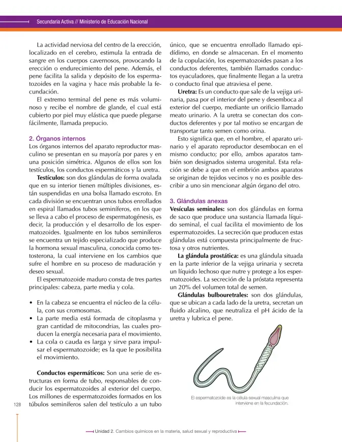 Página 128 de Ciencias Naturales 8° · Secundaria Activa
