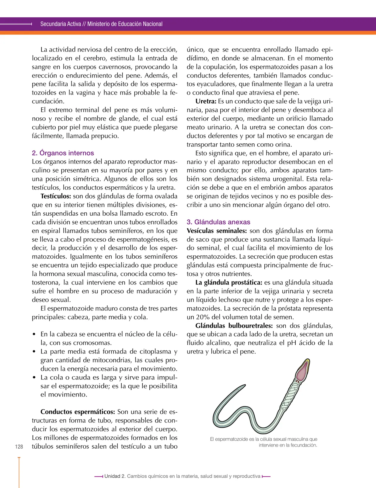 Miniatura página 128 de Ciencias Naturales 8° · Secundaria Activa