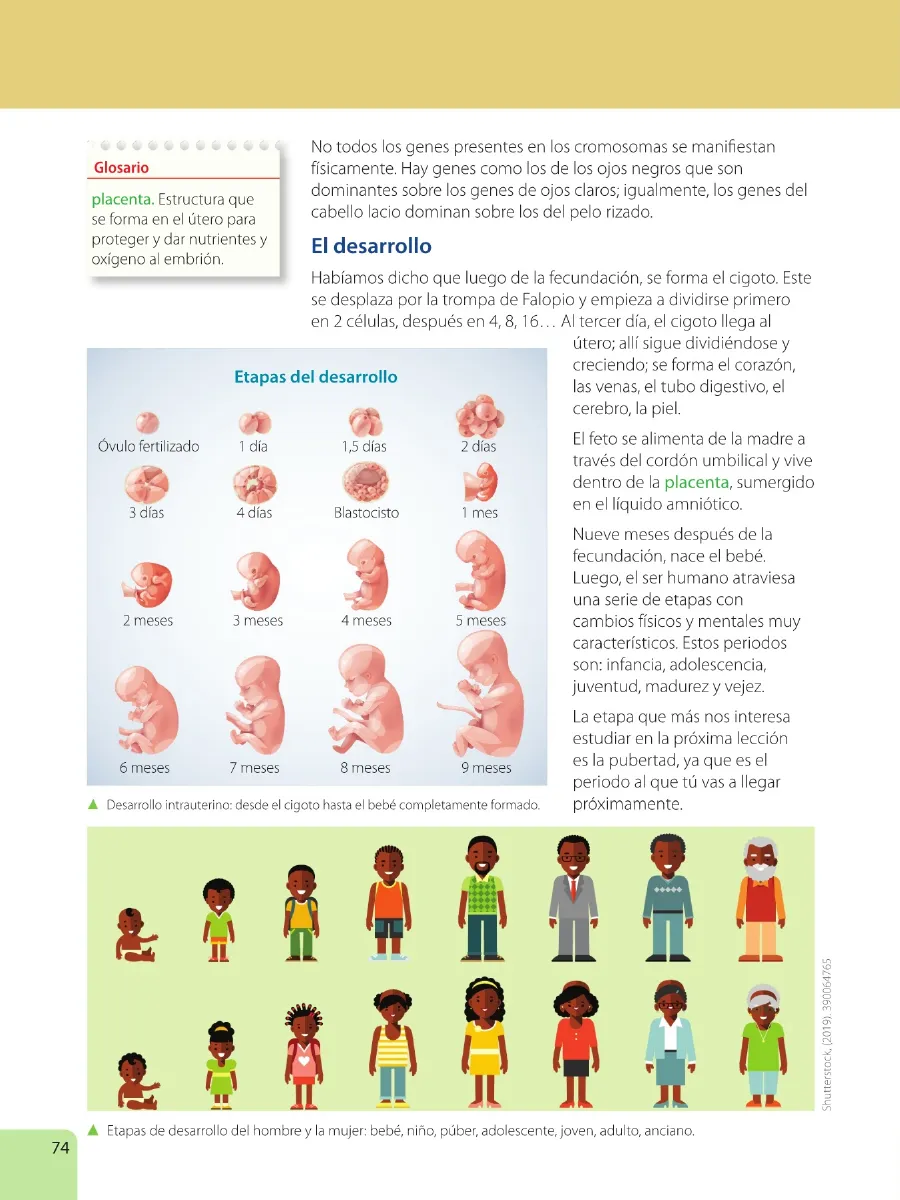 Página 76 de Ciencias Naturales · 6 EGB · 2025