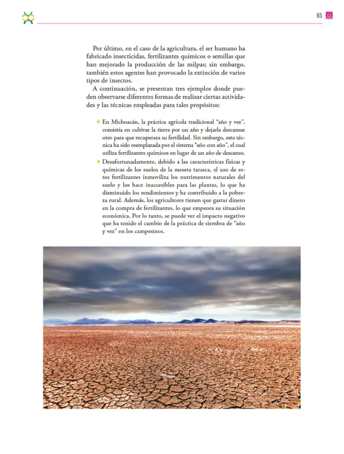 Página 66 de Colección Ximhai. De lo humano y lo comunitario. Libro de Educación Secundaria Grado 1° Ciclo Escolar 2025 - 2026