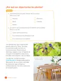 Miniatura página 102 de Ciencias Naturales – Tercero Básico | Texto del Estudiante MINEDUC – Descargar PDF · 2024