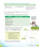 Miniatura página 36 de Ciencias Naturales – Tercero Básico | Texto del Estudiante MINEDUC – Descargar PDF · 2024